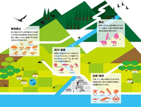 自然界 動物|日本の自然環境と生きもののつながり 